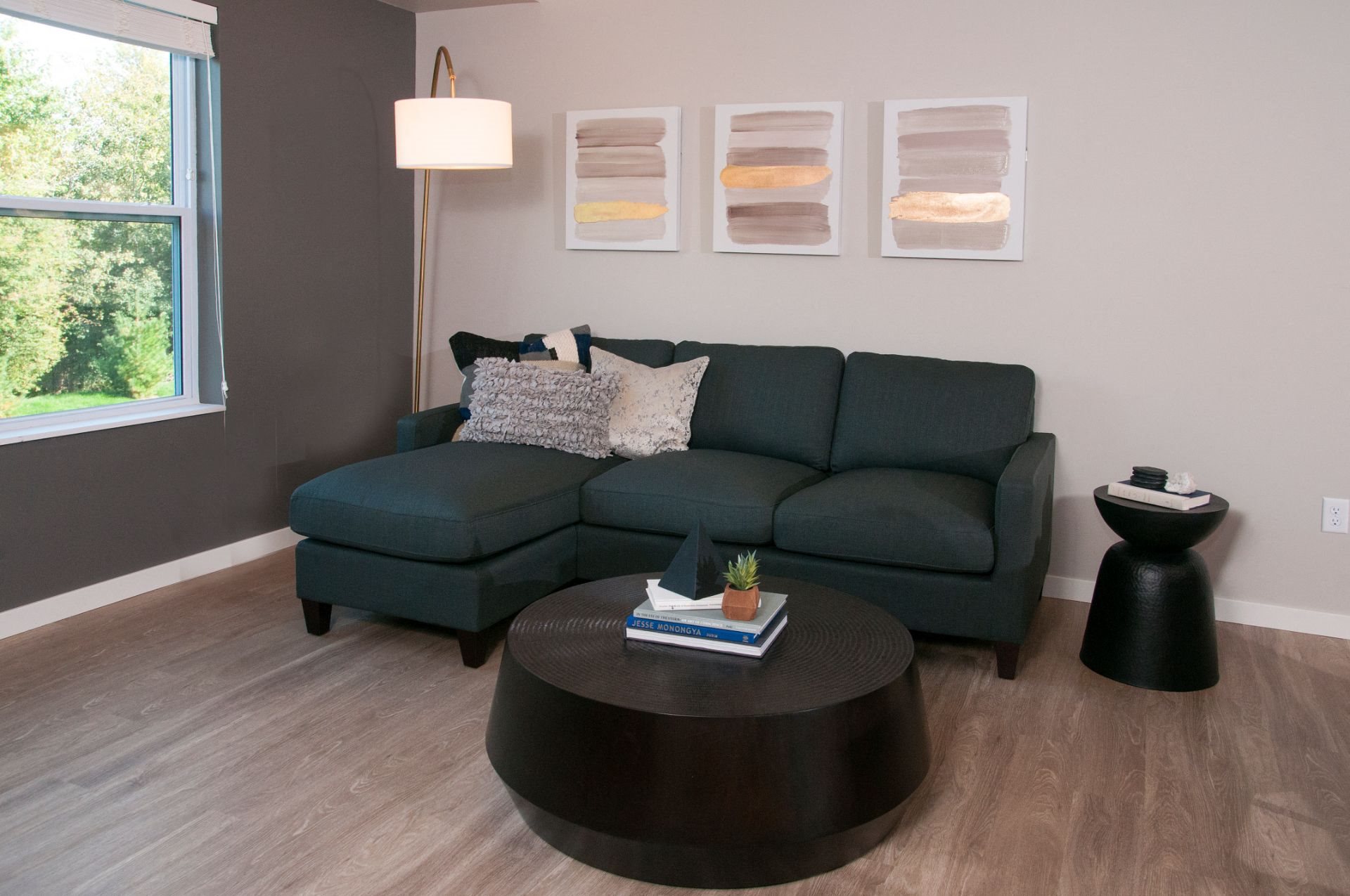 Interiors Apartments with Plank Flooring near Downtown Minneapolis, 9436 Ulysses Street NE. Blaine, MN. 55434